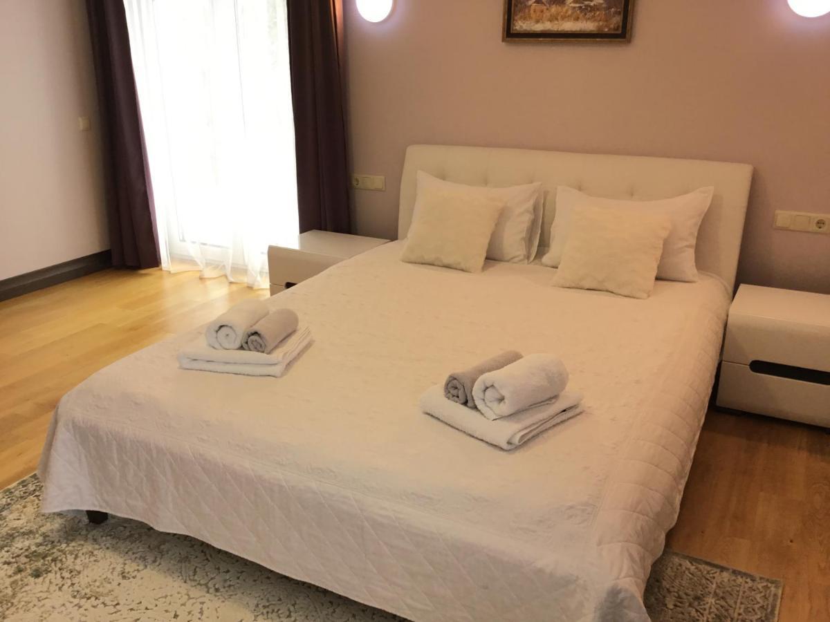 드루스키닝카이 Radvi House 빌라 외부 사진