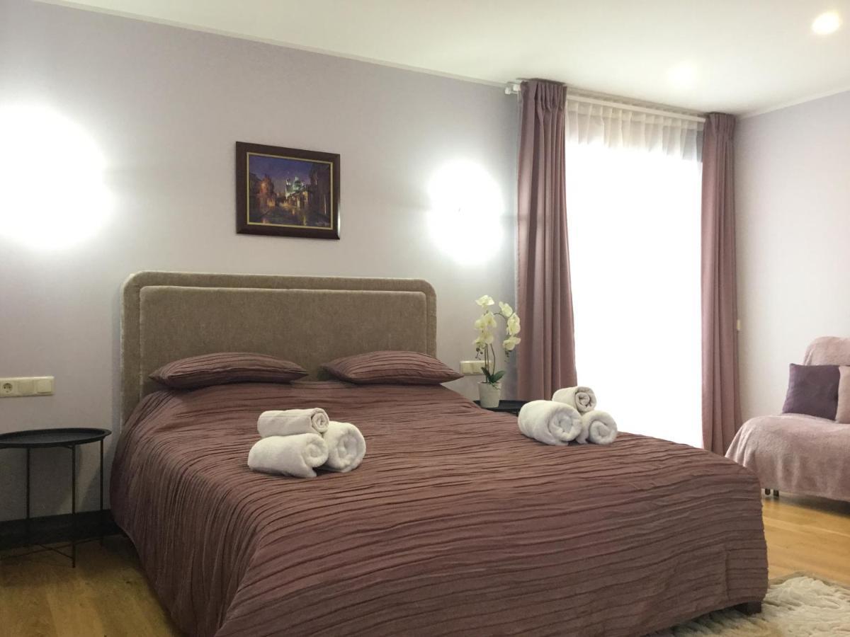 드루스키닝카이 Radvi House 빌라 외부 사진